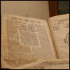 Torah Studies